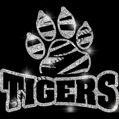 GLT32 SILVER GLITTER Thumbnail