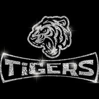 GLT94 SILVER GLITTER Thumbnail