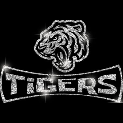 GLT94 SILVER GLITTER Thumbnail