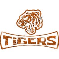 GLT94 ORANGE GLITTER Thumbnail